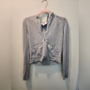 Express Gray Cropped Zip-Up Hoodie